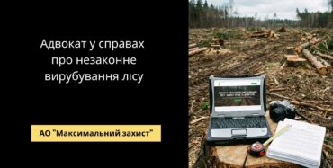 Адвокат у справах про незаконне вирубування лісу - екологічне право